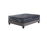 Midnight Ice 3.0 Plush